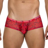 Clever calipso latin boxers