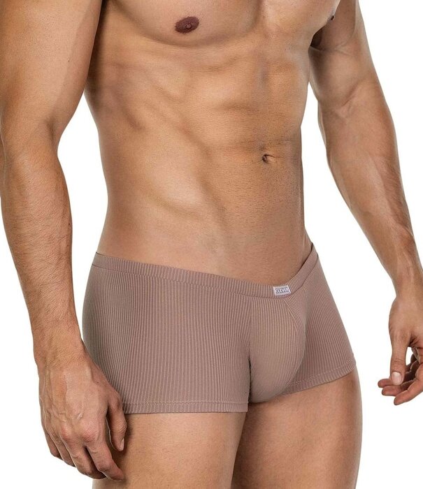 Clever apolo latin boxers