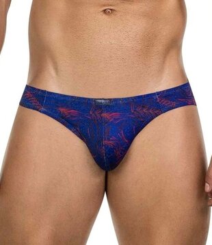 Clever helion latin brief