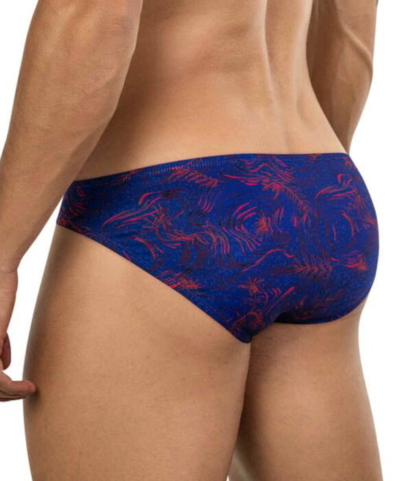 Clever helion latin brief