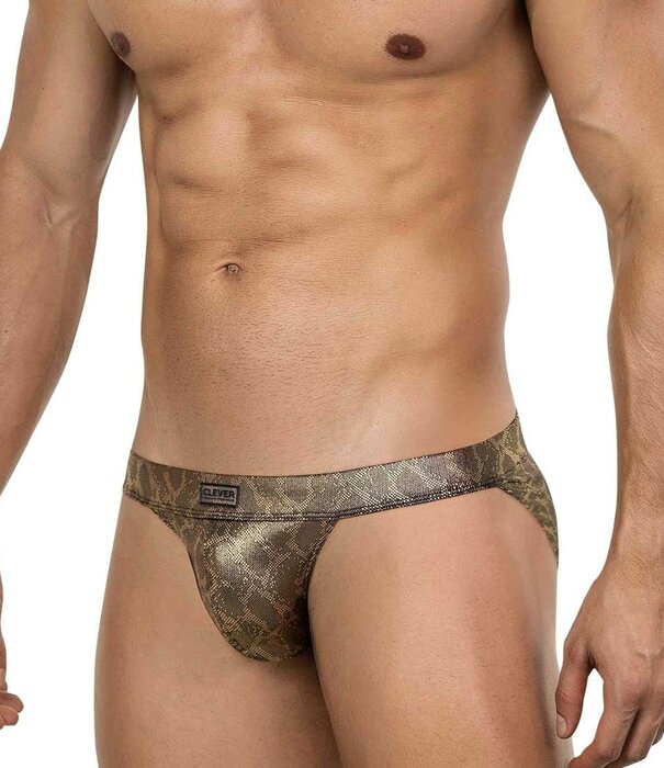 Clever atlas brief