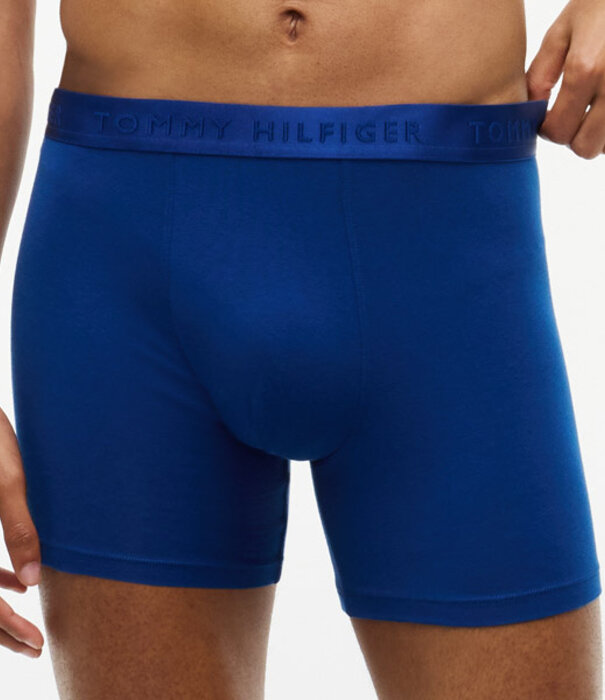 Tommy Hilfiger Boxer Brief 3-pack 0XZ