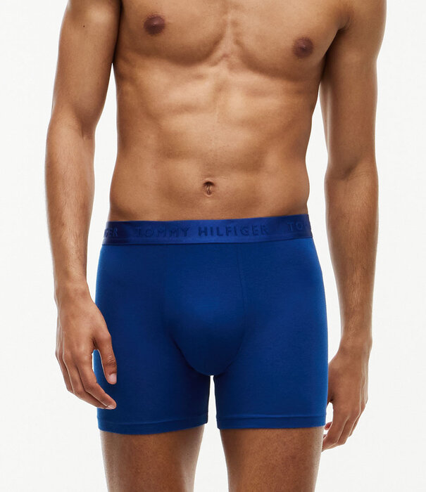 Tommy Hilfiger Boxer Brief 3-pack 0XZ