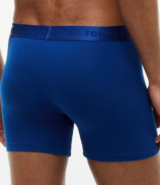 Tommy Hilfiger Boxer Brief 3-pack 0XZ