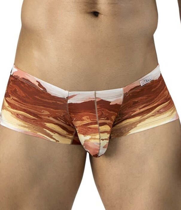 Clever desert latin boxershort