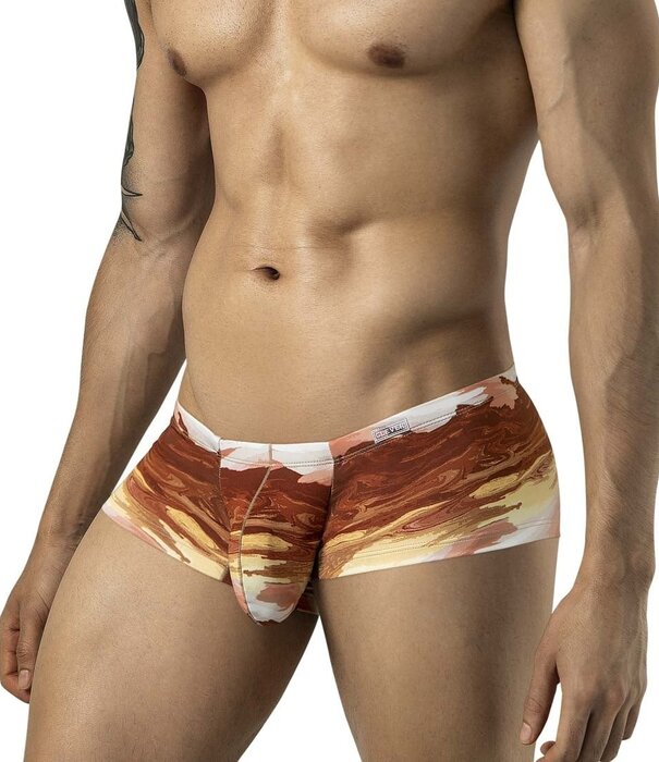Clever desert latin boxershort