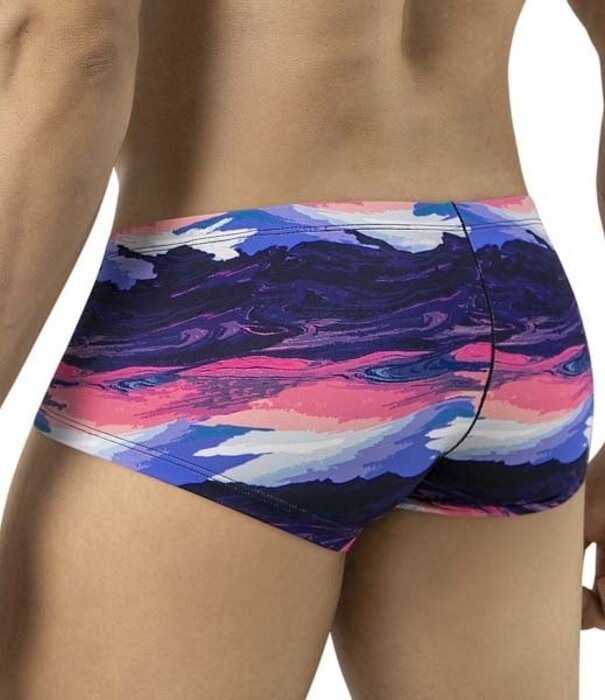 Clever desert latin boxershort