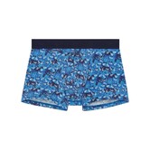 HOM Boxer Briefs Vibe