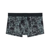 HOM Trunk Tigers