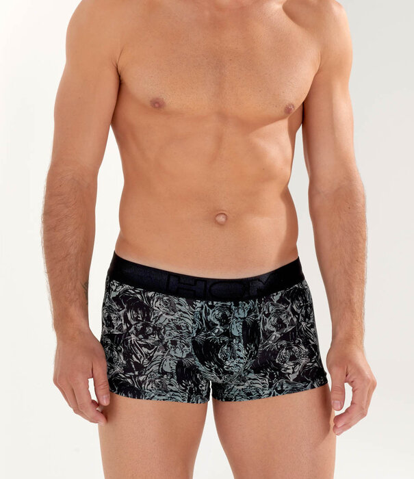 HOM Trunk Tigers