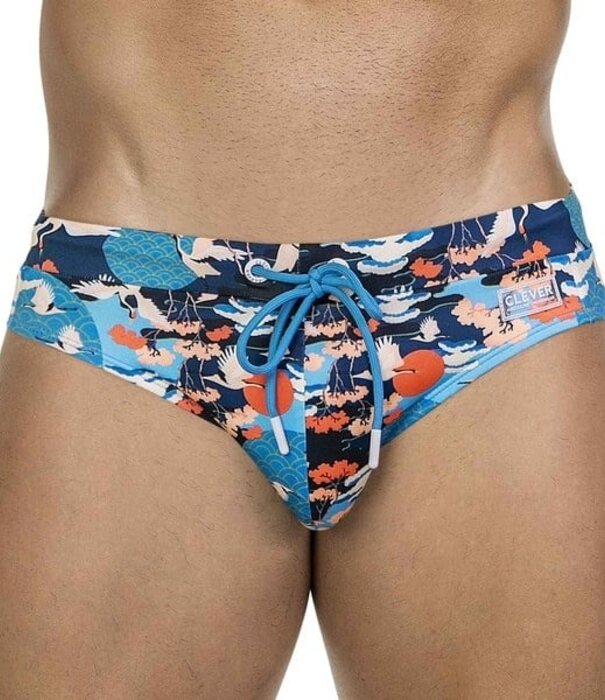 Clever grulla swimbrief multicolored