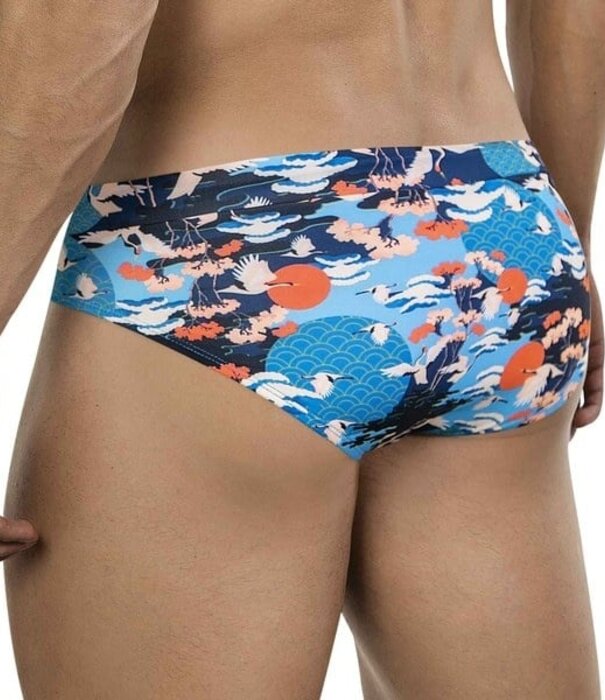 Clever grulla swimbrief multicolored