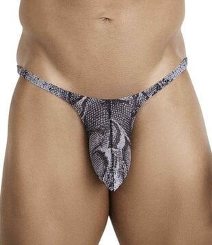 Pikante piton brief multicolored