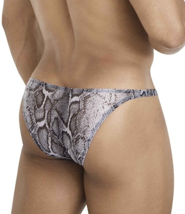 Pikante piton brief multicolored
