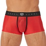 Gregg Homme Torridz boxers 03