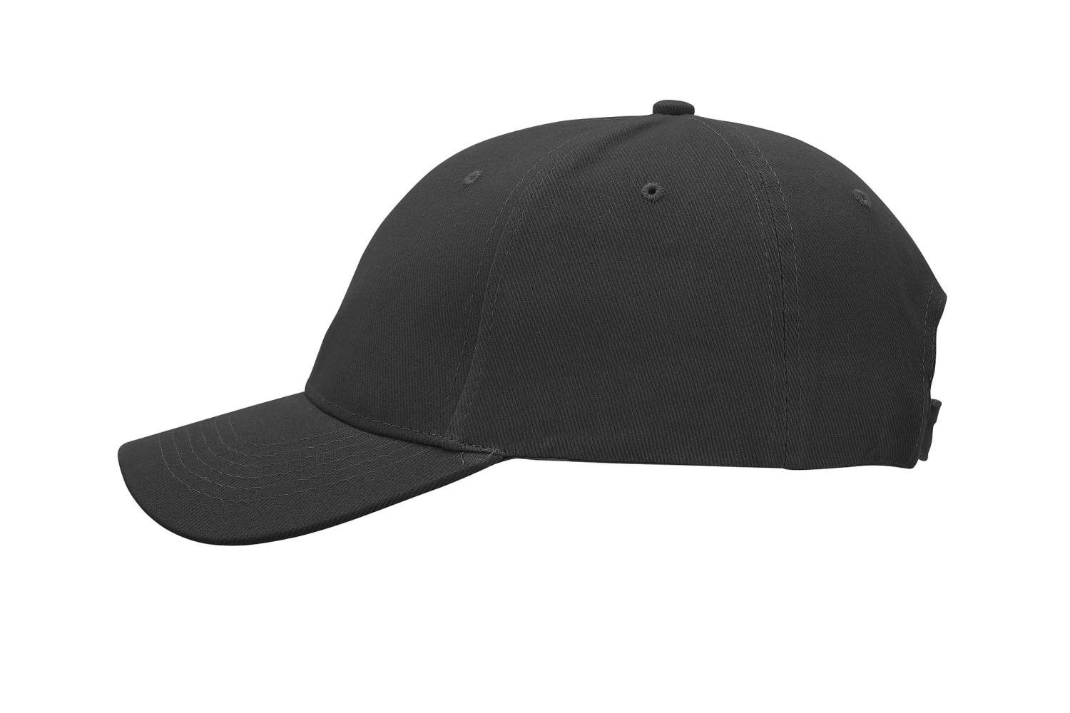 The Headwear Professionals Brushed Heavy Cotton 4199