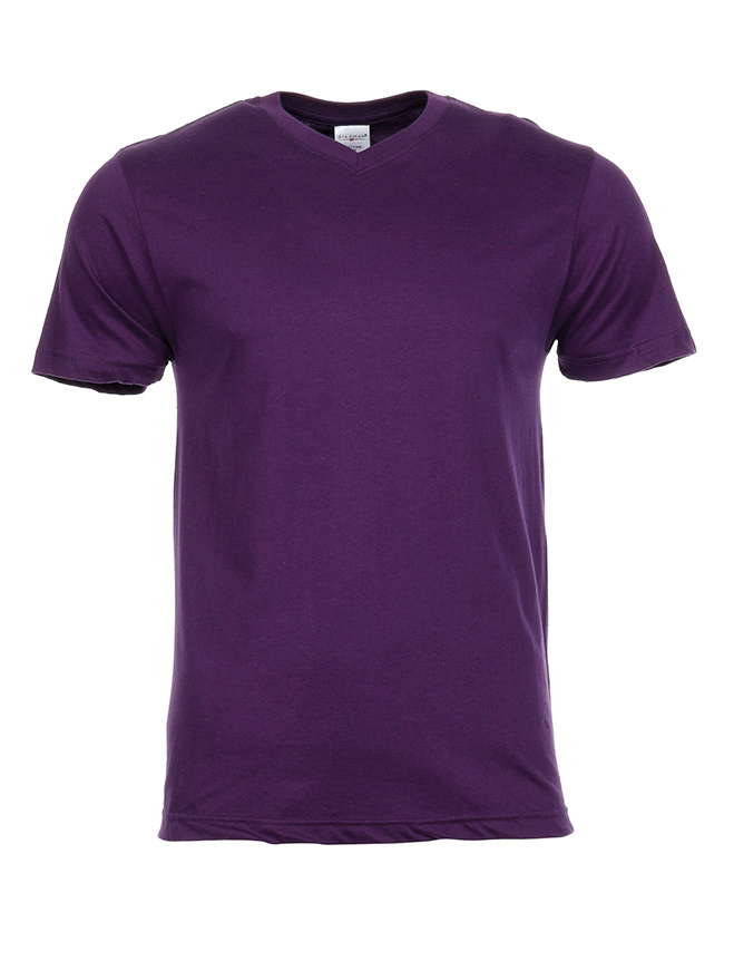 Stedman stedman  classic-t v-neck  STE2300