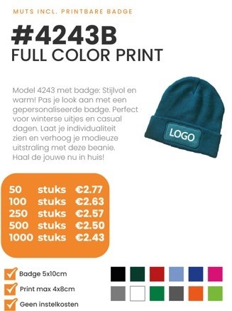 The Headwear Professionals WINTERACTIE: Acrylic Beanie With Roll Up 4243 Badge incl logo