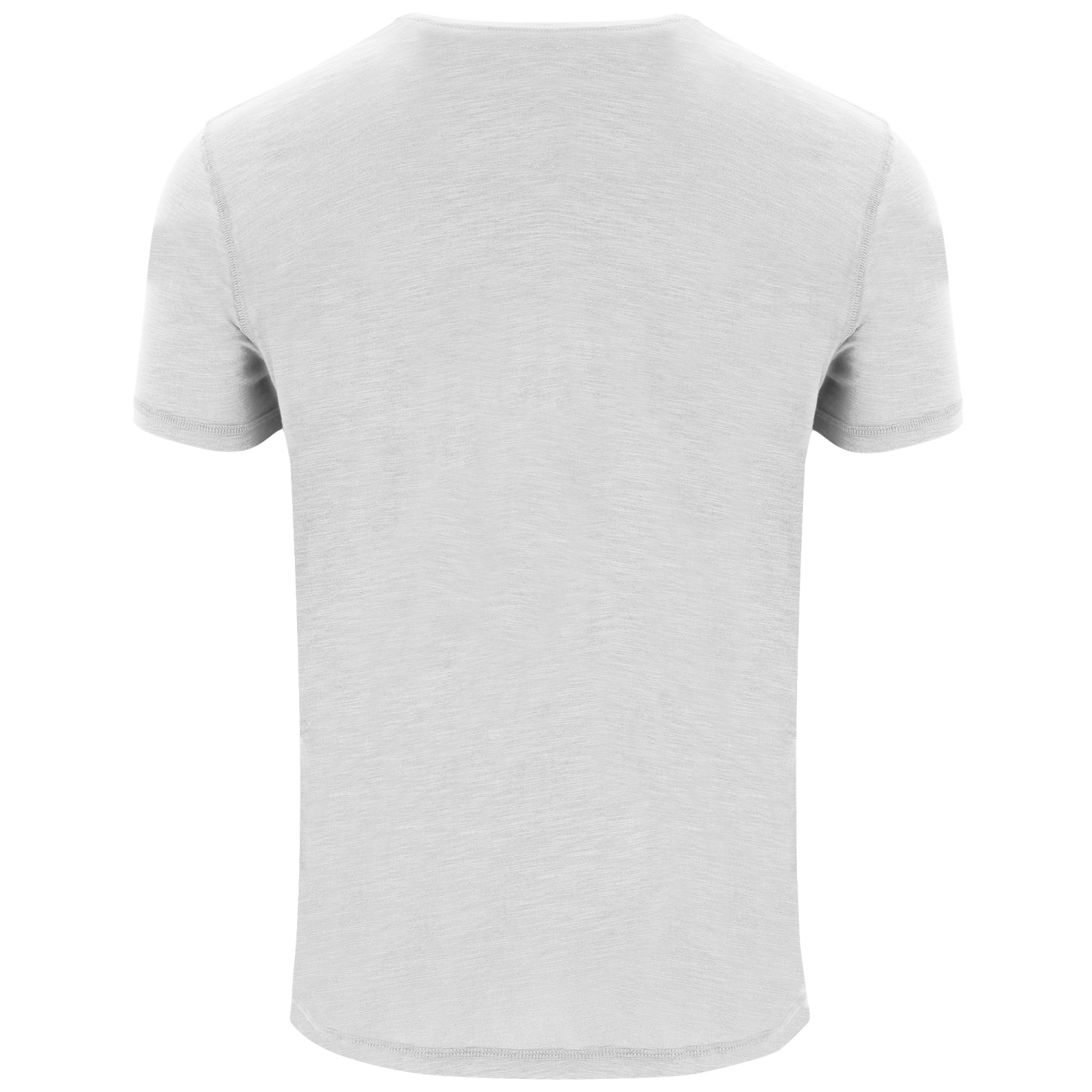 ROLY ROLY TERRIER CA0396