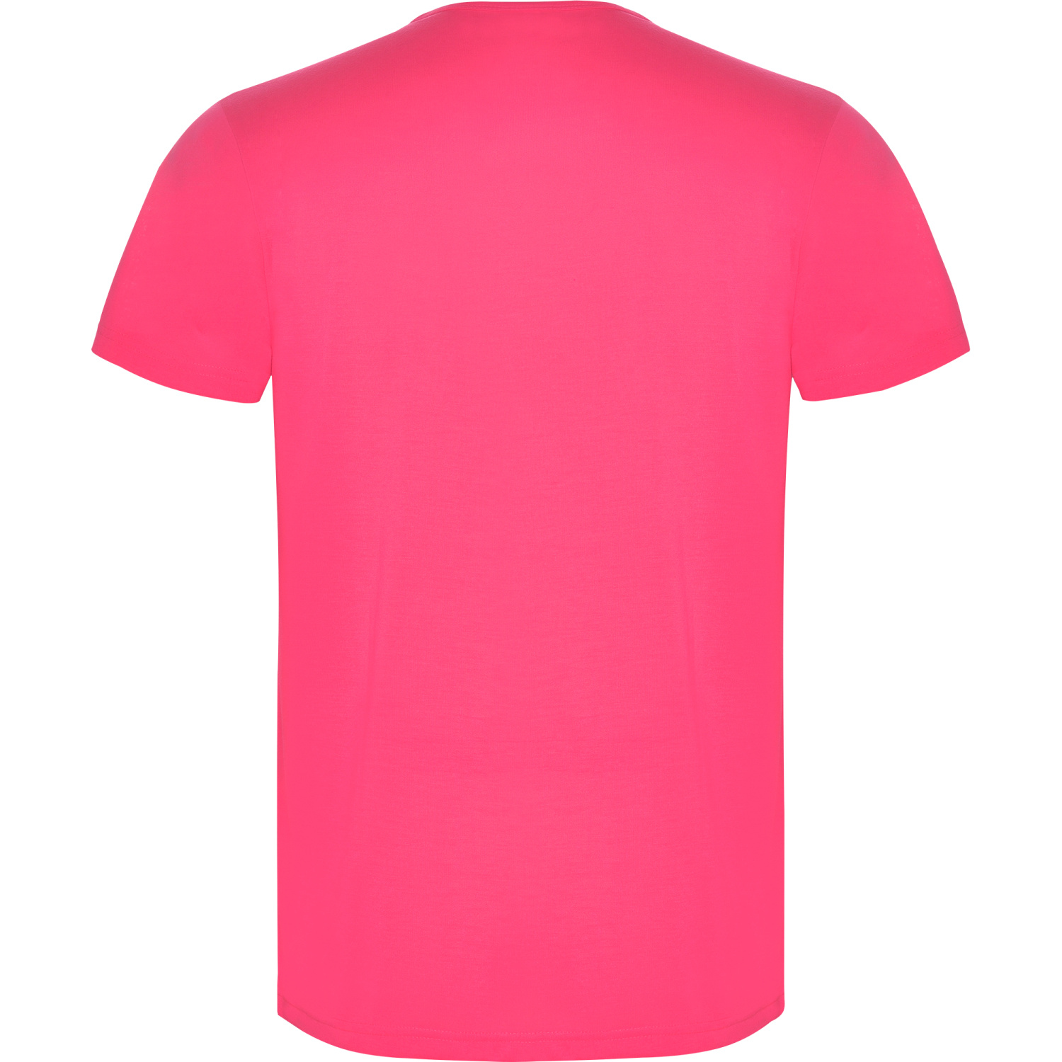 ROLY ROLY AKITA CA6534