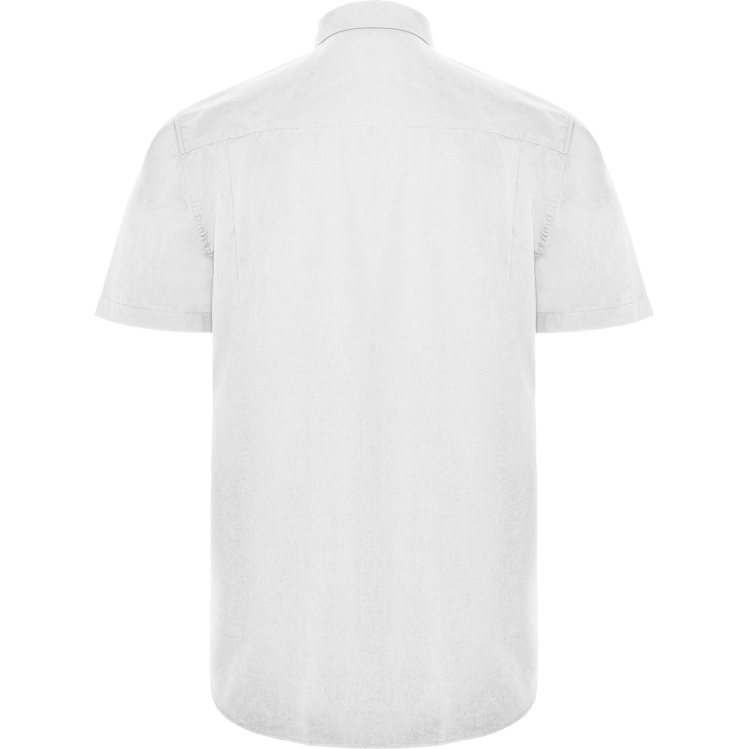 ROLY ROLY AIFOS CM5503