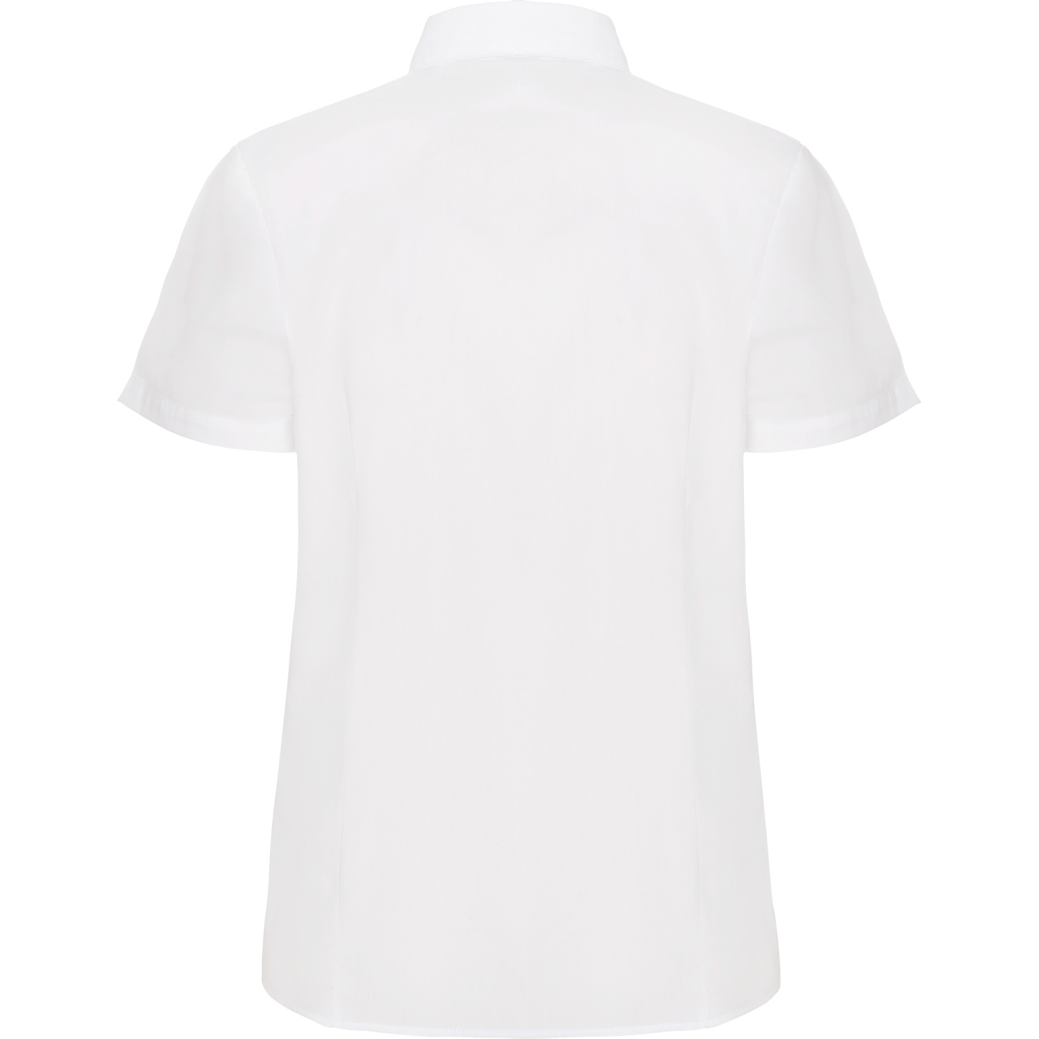 ROLY ROLY SOFIA CM5061