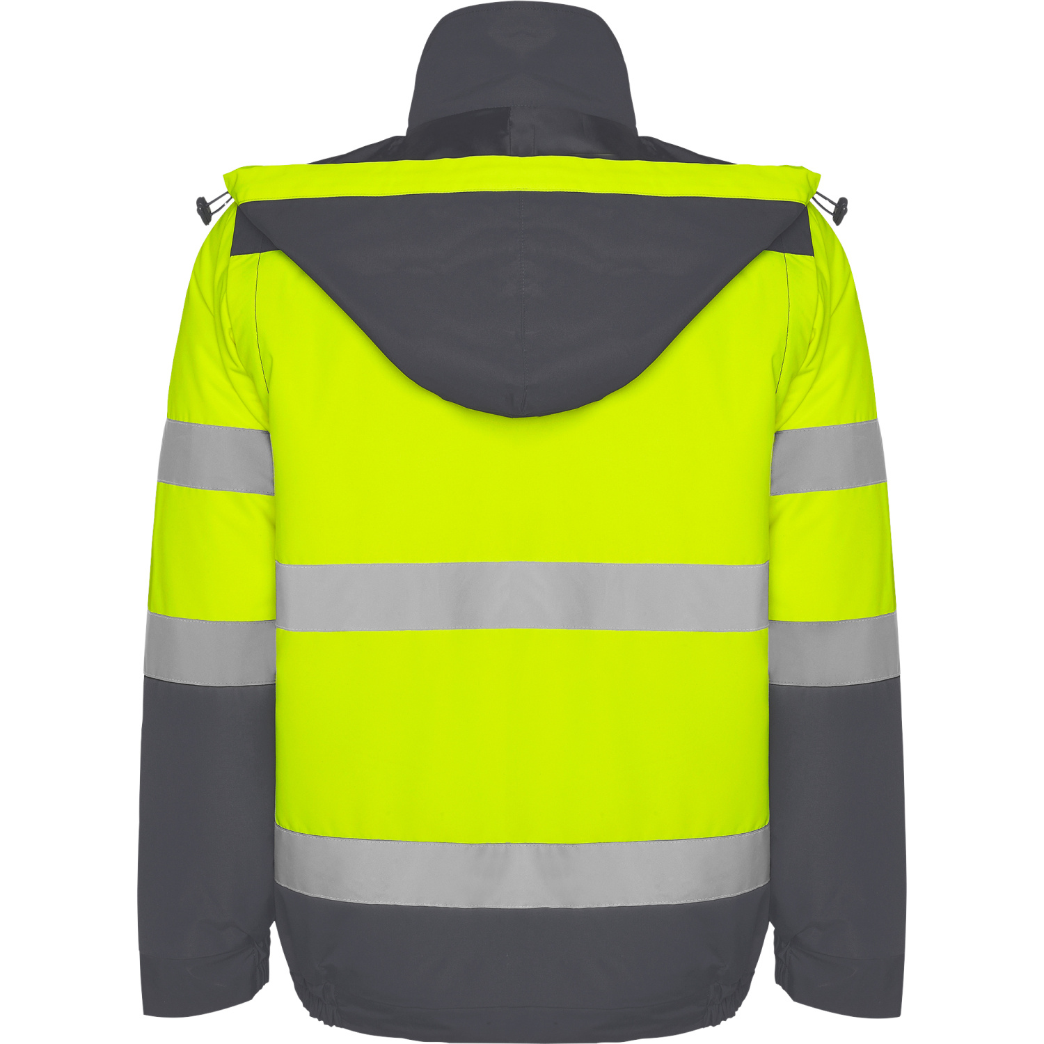 ROLY ROLY EPSYLON HV9304