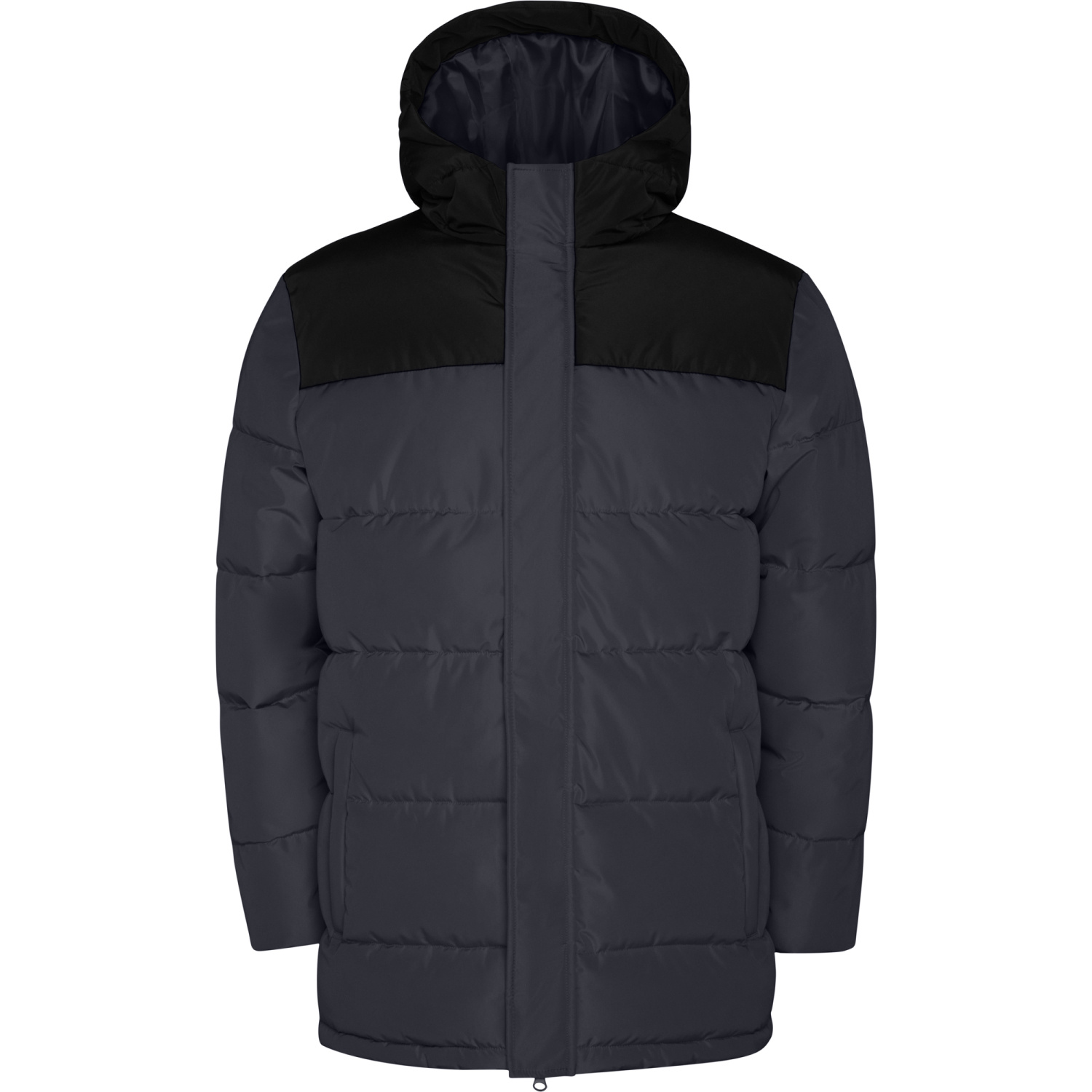 ROLY ROLY TALLIN PK5075