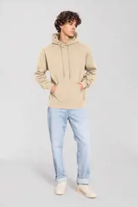 Fruit of the Loom Fruit of the Loom Iconic 250 Hooded Sweater