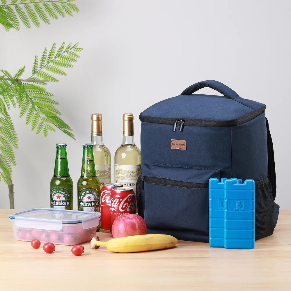Brisby Packaway Koeltas Rugzak 25L