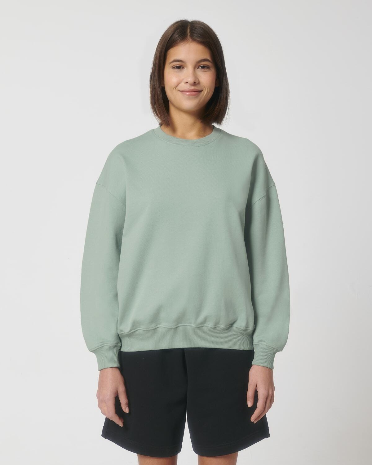 Stanley/Stella kleding bedrukken Stanley/Stella sweatshirts ledger dry STSU798
