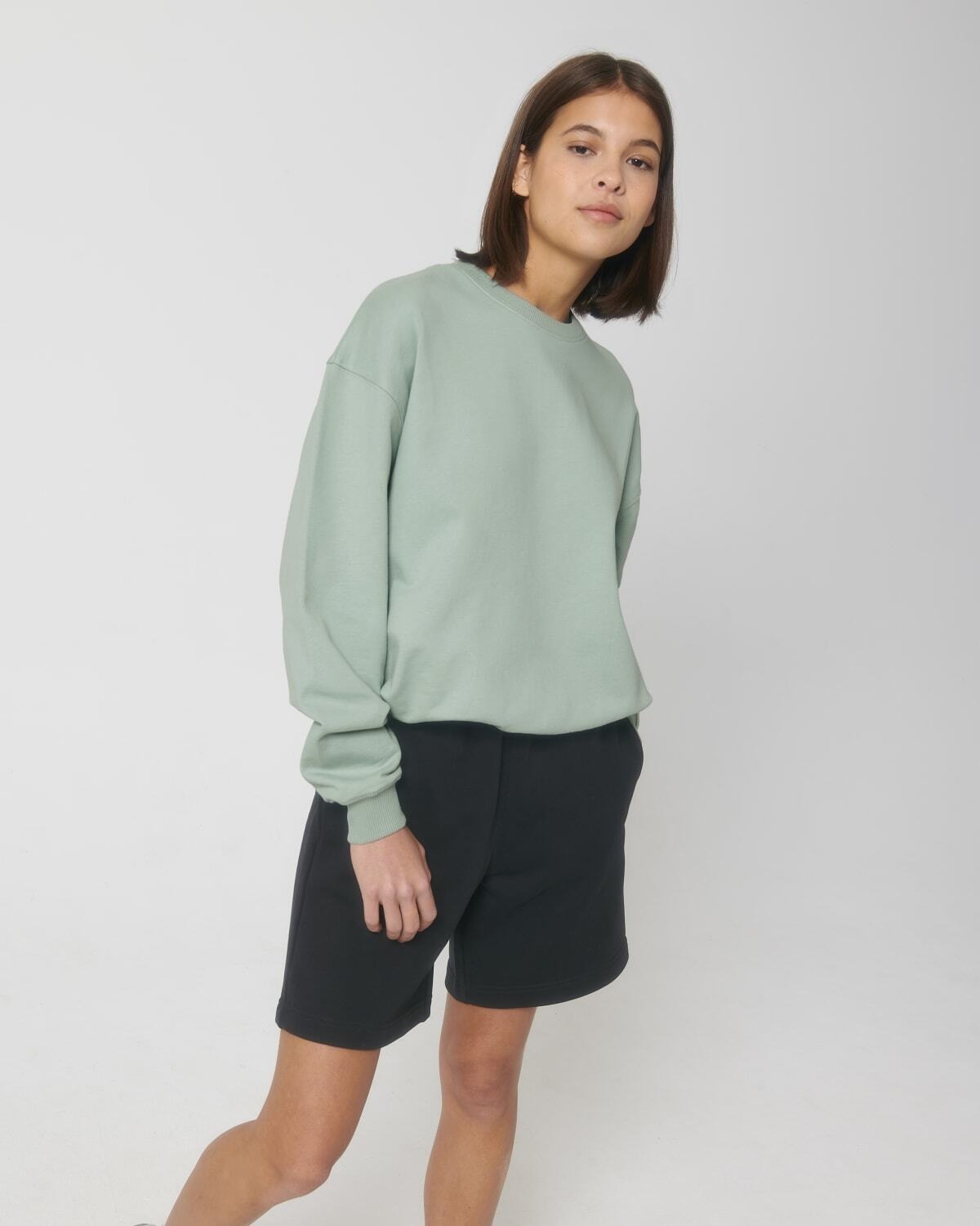 Stanley/Stella kleding bedrukken sweatshirts ledger dry STSU798