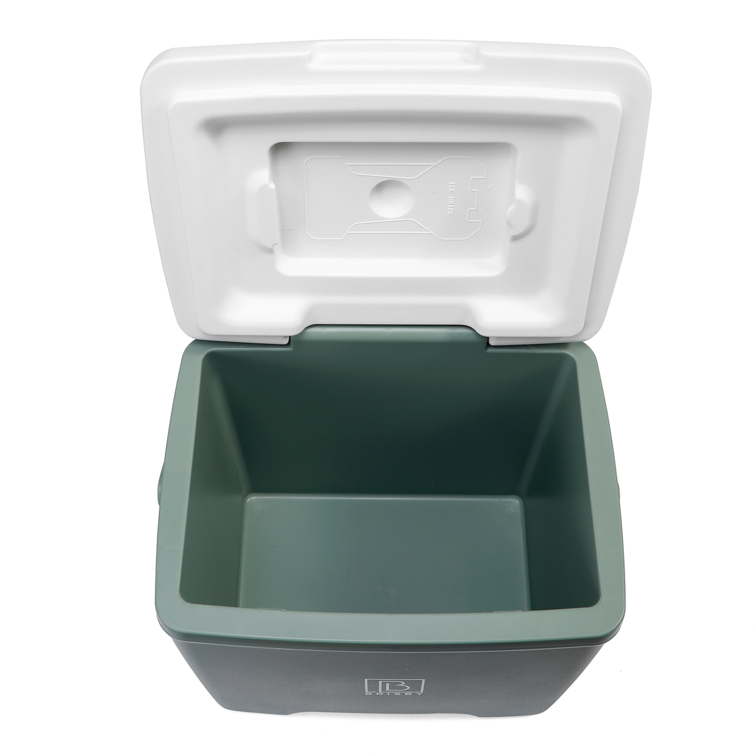 Brisby Brisby Koelbox - Frigobox - 13L - 2 GRATIS KOELELEMENTEN