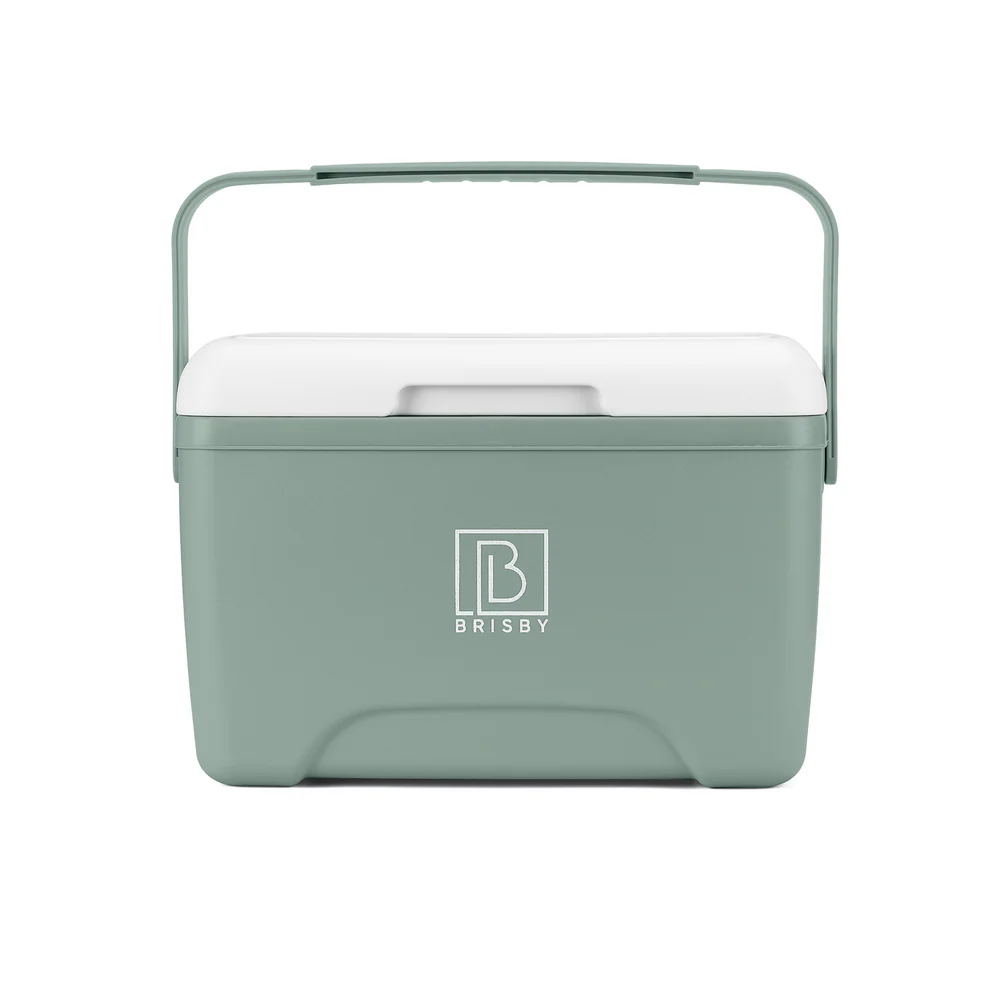 Brisby Brisby Koelbox - Frigobox - 8L - 2 GRATIS KOELELEMENTEN