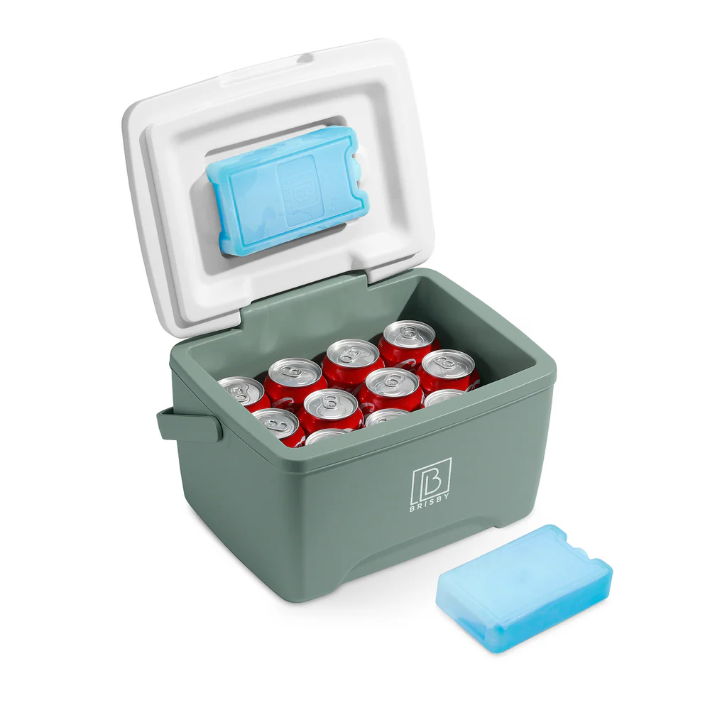 Brisby Brisby Koelbox - Frigobox - 8L - 2 GRATIS KOELELEMENTEN