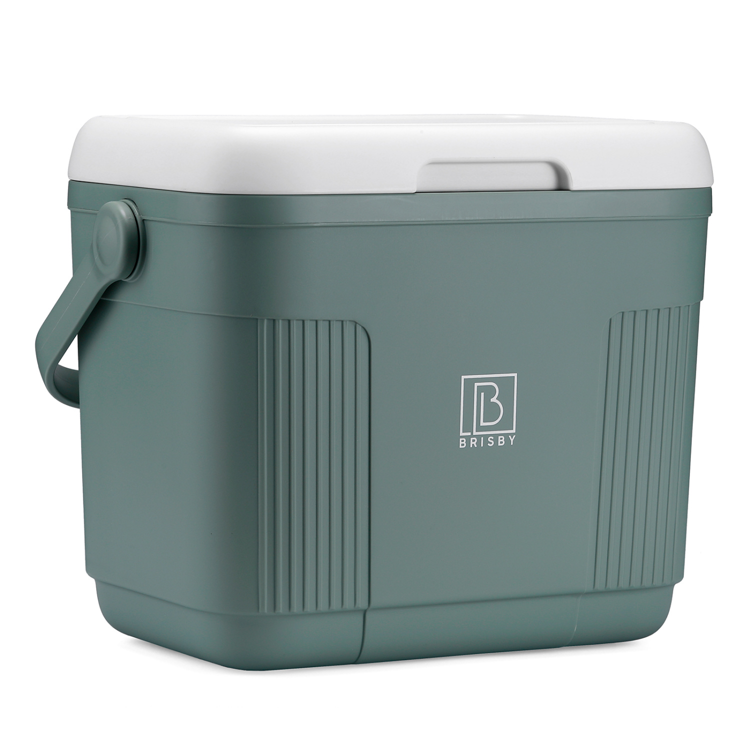 Brisby Brisby Koelbox - Frigobox - 22L- 4 GRATIS KOELELEMENTEN