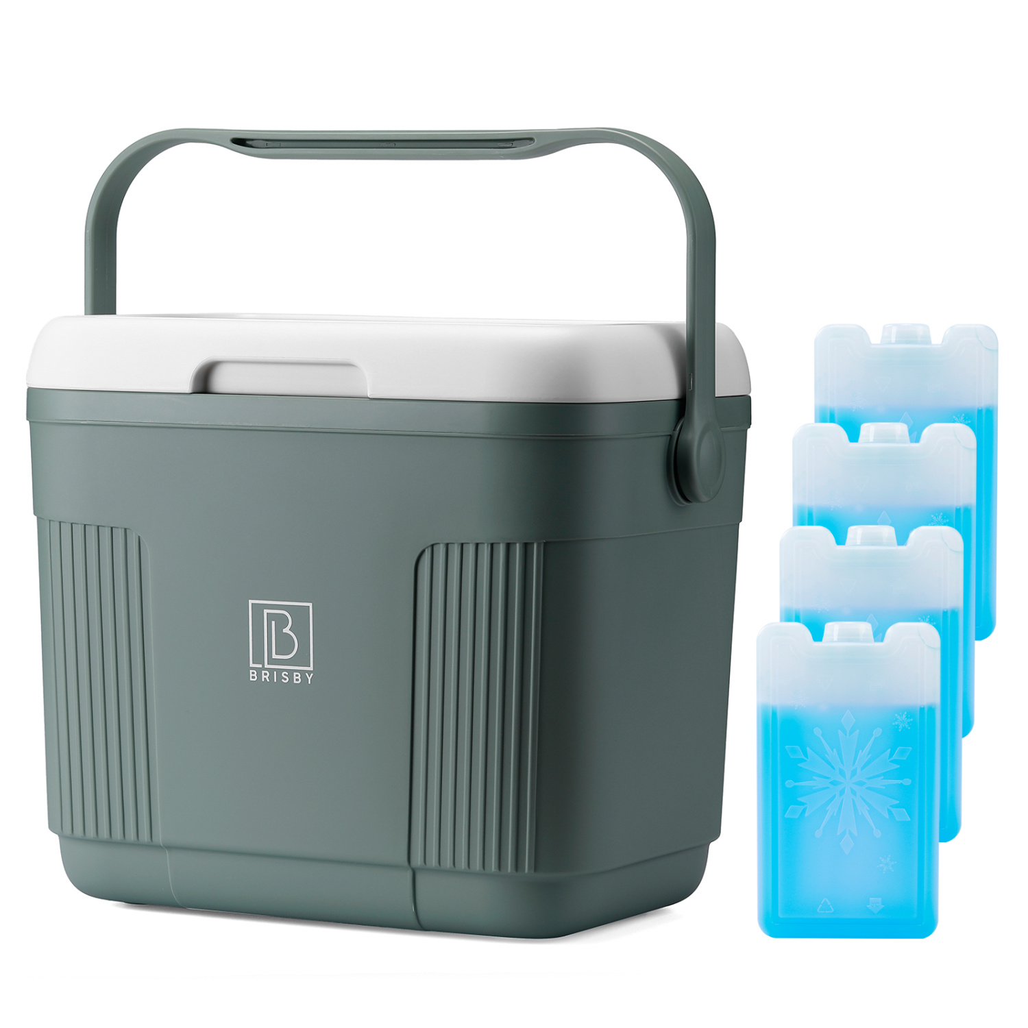 Brisby Brisby Koelbox - Frigobox - 22L- 4 GRATIS KOELELEMENTEN