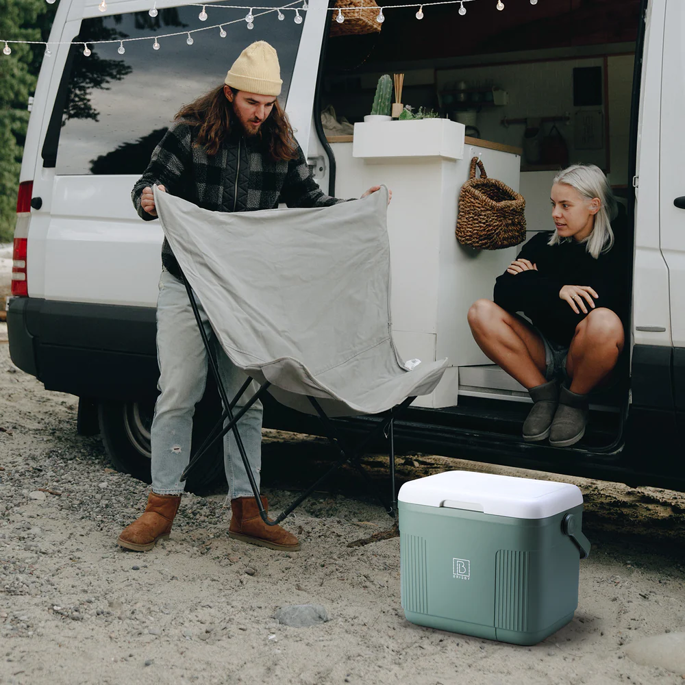 Brisby Brisby Koelbox - Frigobox - 22L- 4 GRATIS KOELELEMENTEN