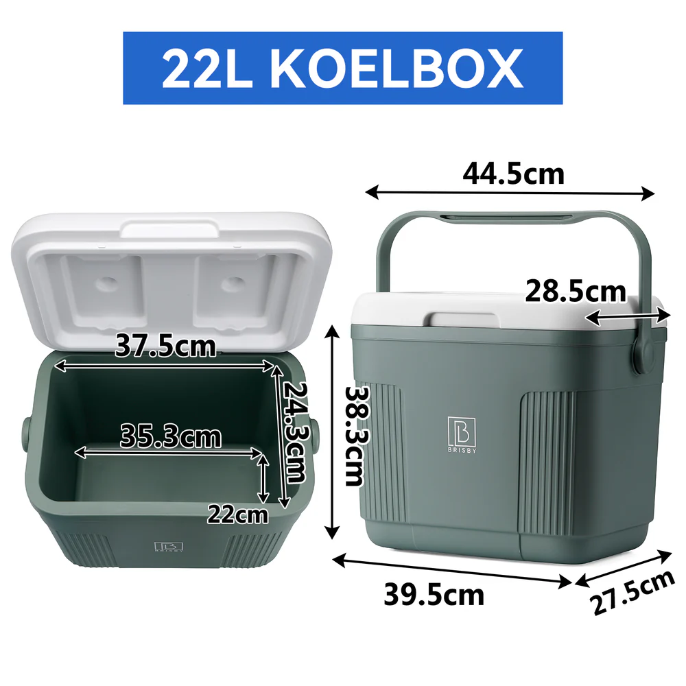 Brisby Brisby Koelbox - Frigobox - 22L- 4 GRATIS KOELELEMENTEN