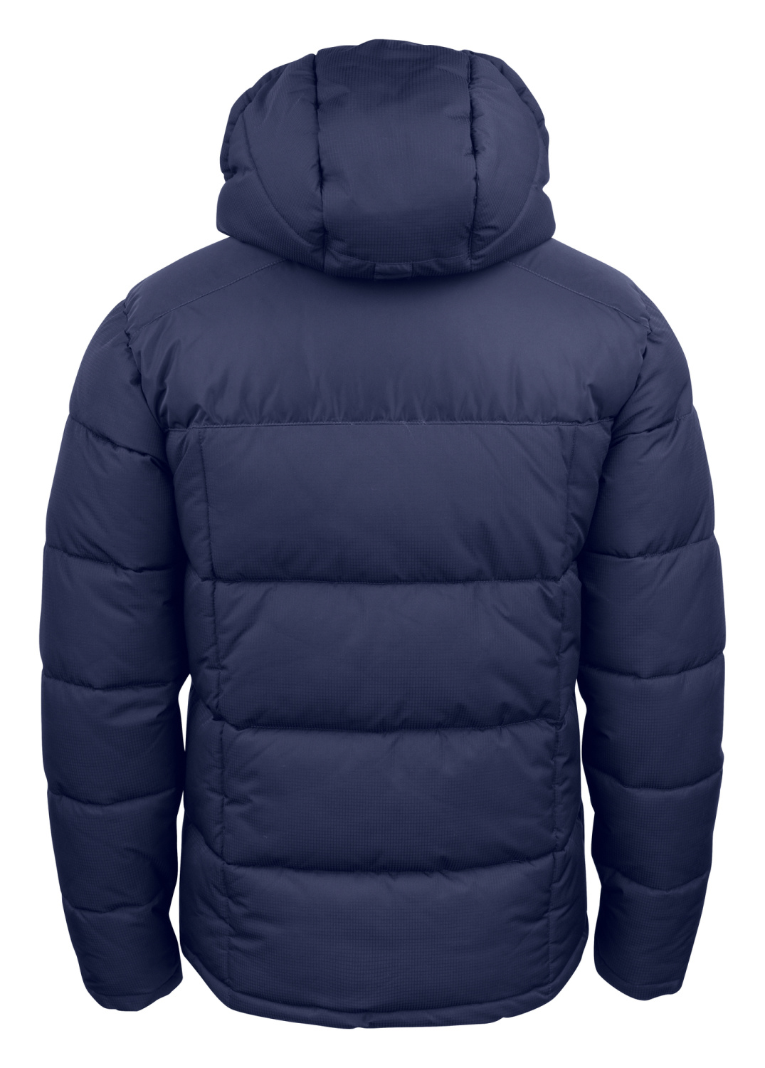 Clique Colorado Men Gewatteerde winterjas