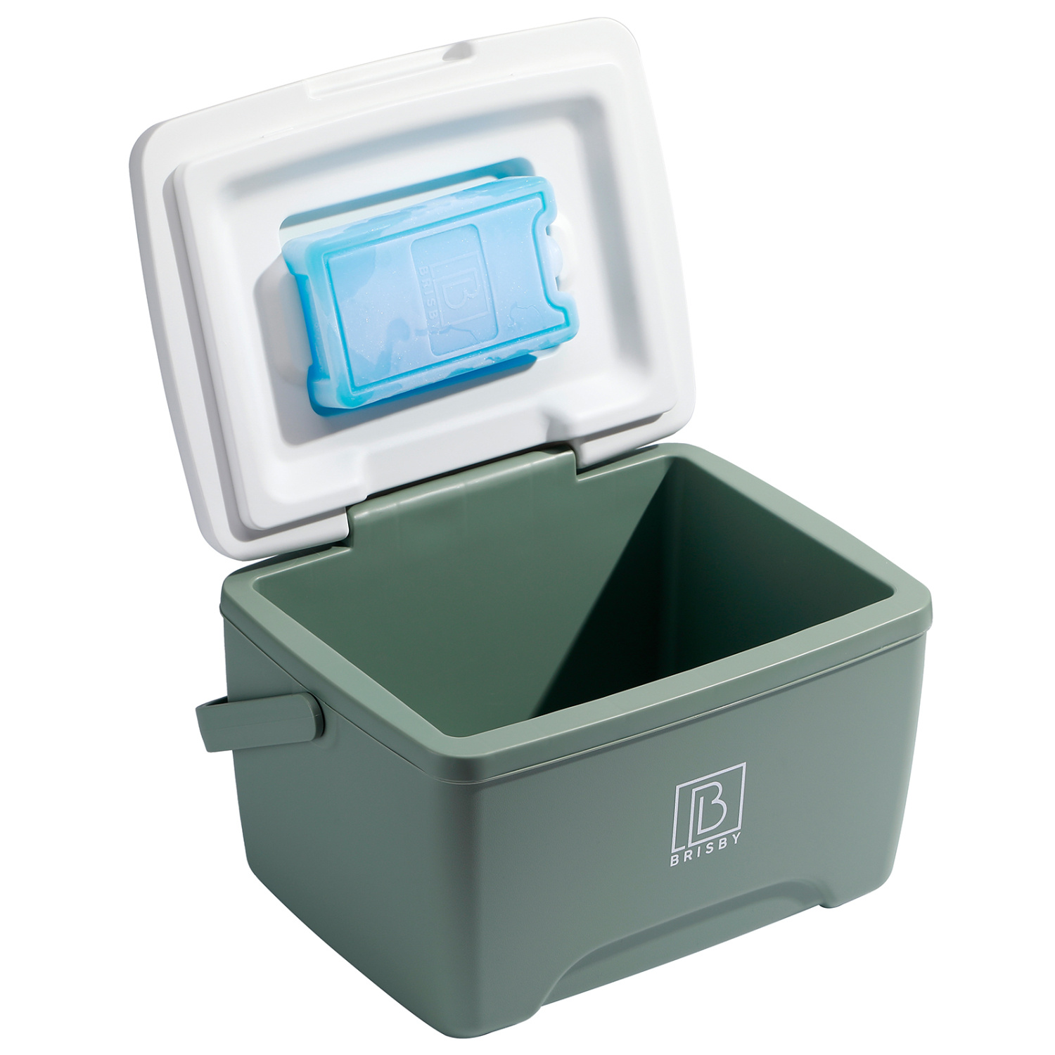 Brisby Koelbox - Frigobox - 8L - 2 GRATIS KOELELEMENTEN