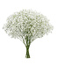 Vers wit naturel Gipskruid | Gypsophila paniculata Xlence | 30 gram | 25 takken per bos | Per bos te bestellen