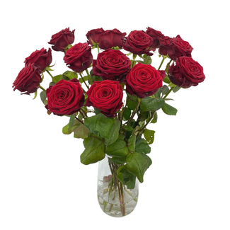 Florimo Fresh Flowers Verse rode rozen - EXCLUSIEF - Lengte ± 70 centimeter - Per 10 stuks