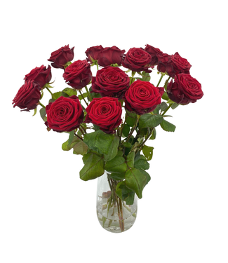 Florimo Fresh Flowers Frische rote Rosen – EXKLUSIV – Länge ± 70 Zentimeter – Pro 10 Stück