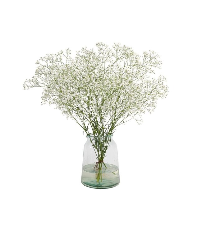Vers wit naturel Gipskruid | Gypsophila paniculata Xlence | 30 gram | 25 takken per bos | Per bos te bestellen