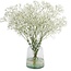 Florimo Fresh Flowers Vers wit Gipskruid | Gypsophila paniculata Xlence | 30 gram | 25 takken