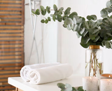 The Power of Fresh Eucalyptus Cinerea: A Timeless Favorite