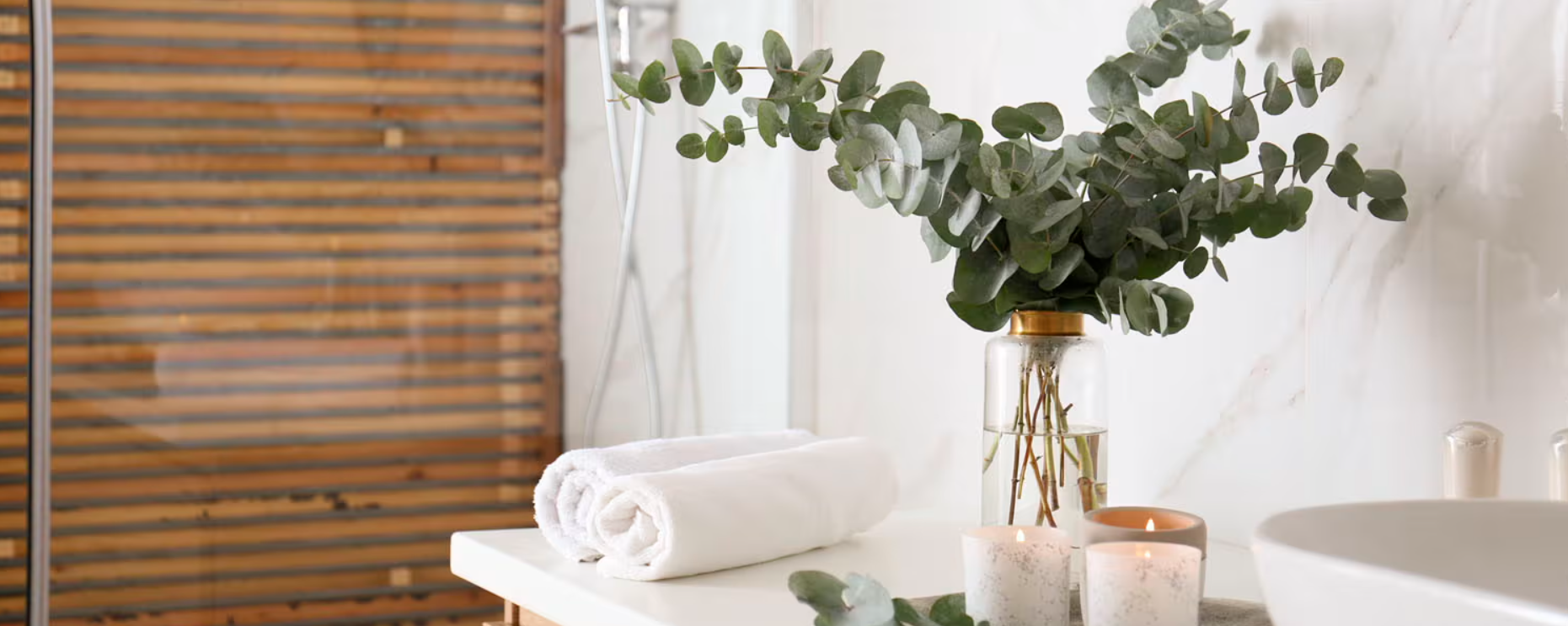 The Power of Fresh Eucalyptus Cinerea: A Timeless Favorite