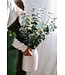Verse Eucalyptus Cinerea | 350 - 400 gram per bos | Lengte 65 - 70 centimeter | Per bos te bestellen