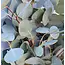 Fresh Eucalyptus Populus | 300 grams per bunch | Length 65 - 70 centimetres | Order per bunch